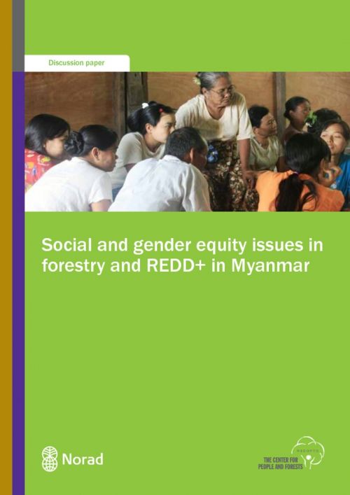 Social and Gender Equity Issues in Forestry and REDD+ in Myanmar