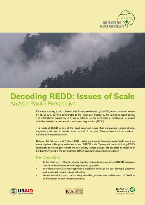 Decoding REDD: Issues of Scale