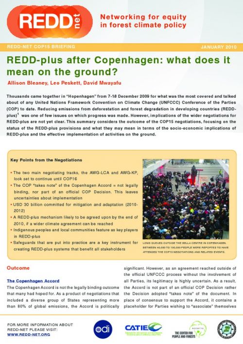 REDD-Net COP 15 Briefing