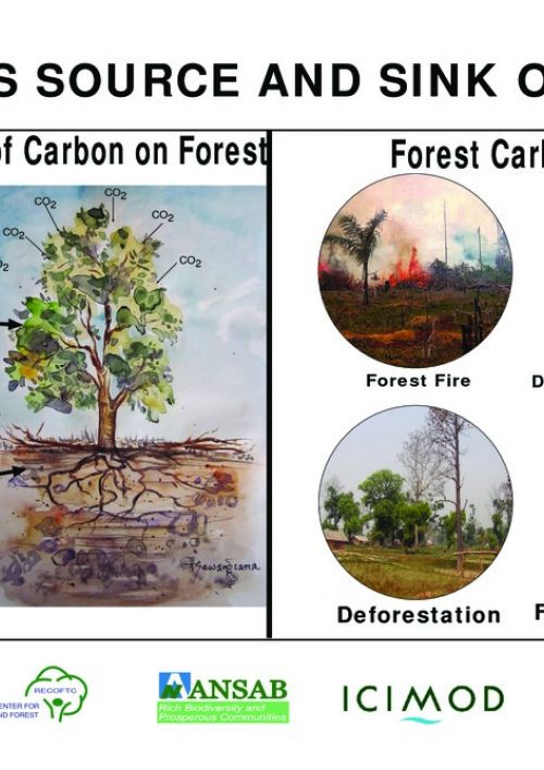Posters on climate change and REDD+