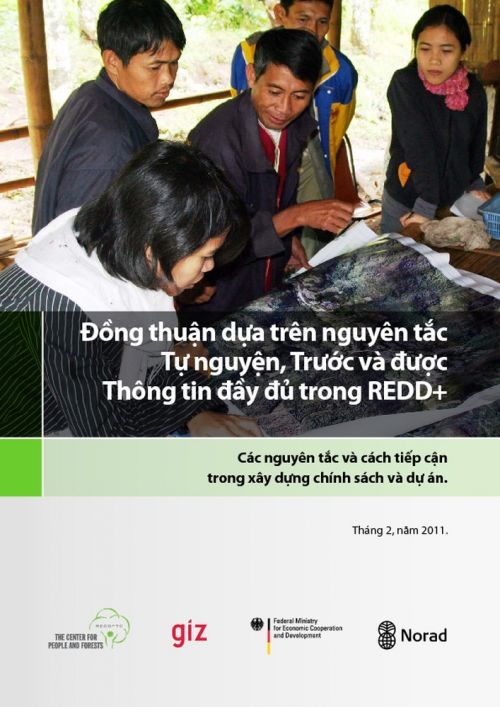 Đồng thuận dựa trên nguyên tắc Tự nguyện, Trước và được Thông tin đầy đủ trong REDD+