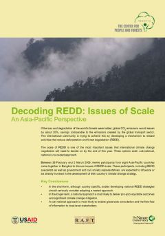 Decoding REDD: Issues of Scale