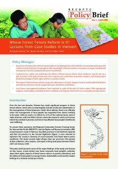 Whose Forest Tenure Reform is it? Lessons from Case Studies in Vietnam