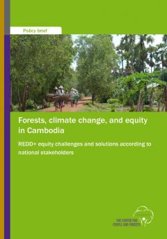 Forests, Climate Change, and Equity in Cambodia: REDD+ Equity Challenges and Solutions According to National Stakeholders